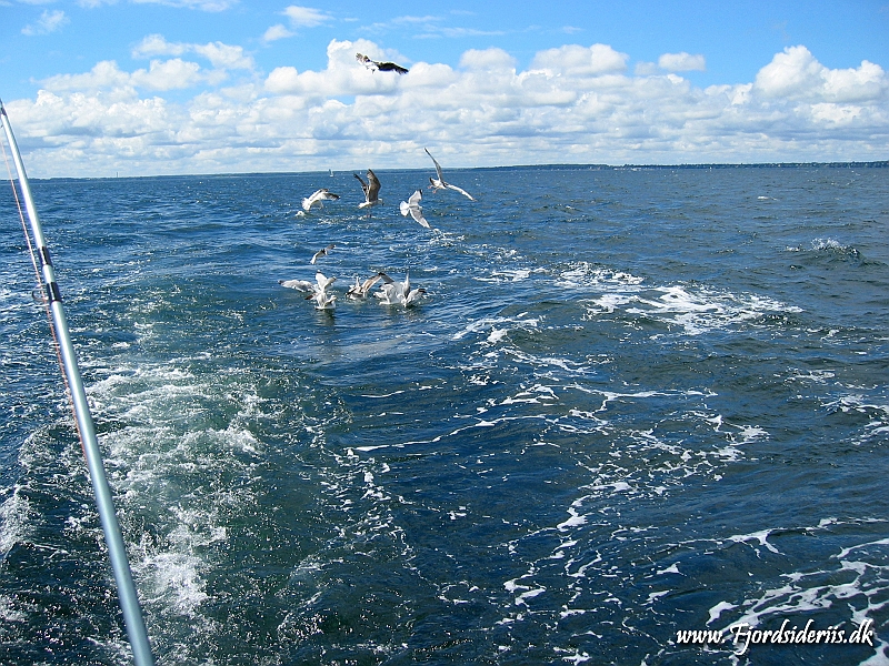 Fisketur med Emil 13.JPG